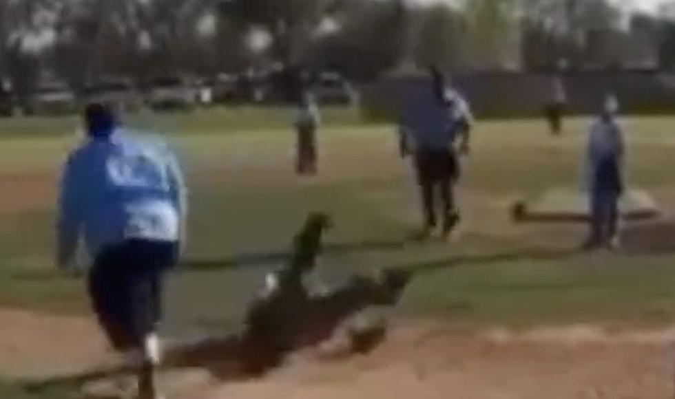 Texas youth baseball coach attacks umpire 