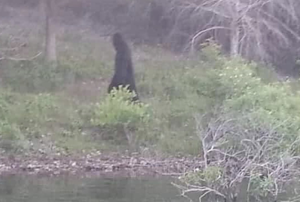 Did men capture photo of a Bigfoot by North Carolina lake