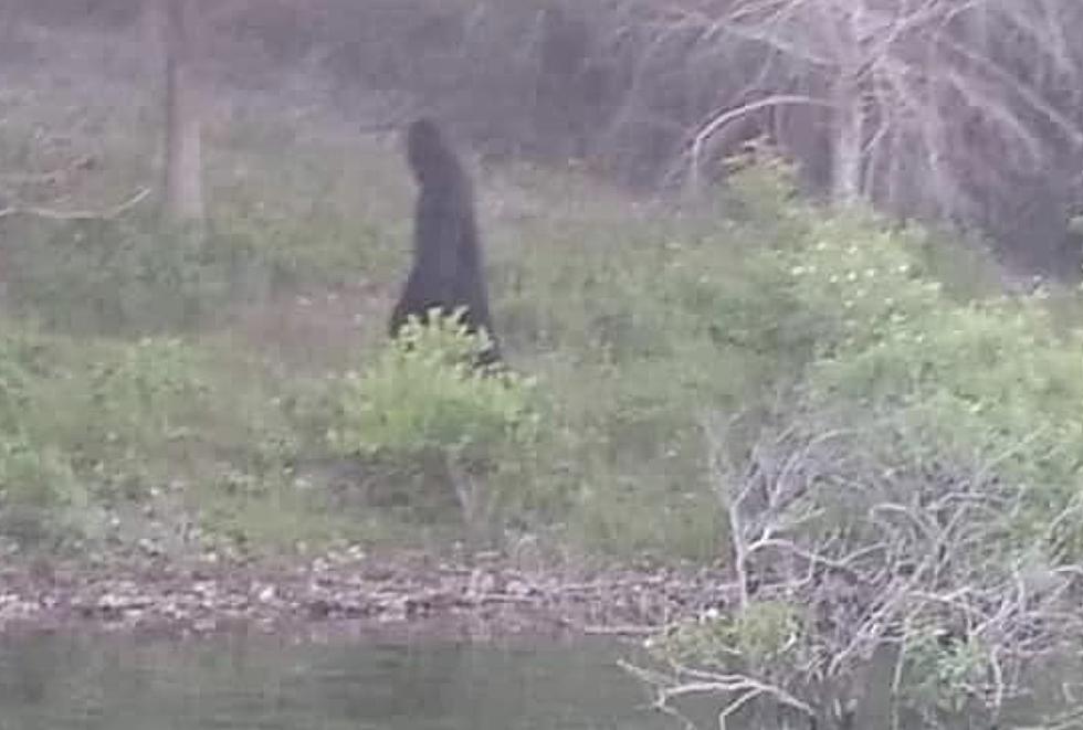 Someone Believes They Just Spotted Bigfoot by Lake in Alabama [PHOTOS]