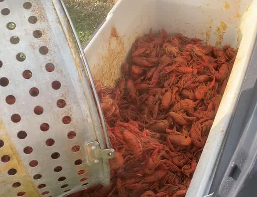 Some Are Putting This Condiment Over Their Boiled Crawfish in Louisiana [VIDEO]