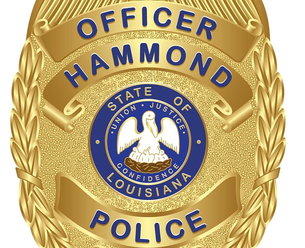 Hammond Police Debut Police Unit Dedicated to Autism Awareness [PHOTO]