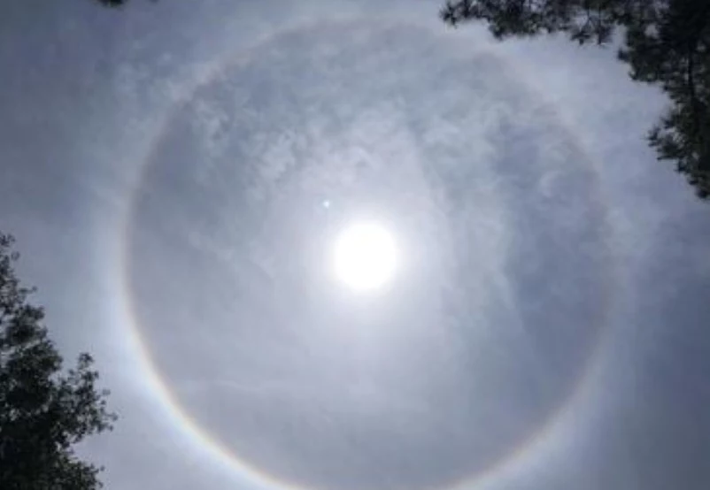 This rainbow halo around the sun! : r/mildlyinteresting
