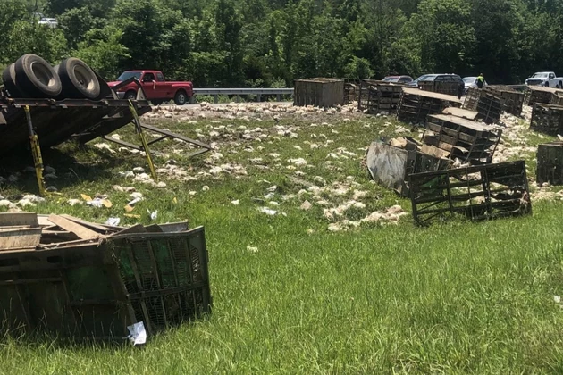 Crash on Interstate Leaves Driver Injured, Hundreds of Chickens Dead [PHOTOS]
