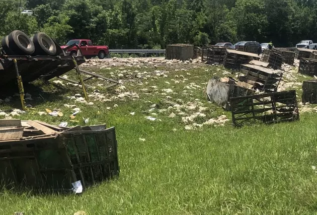 Crash on Interstate Leaves Driver Injured, Hundreds of Chickens Dead [PHOTOS]