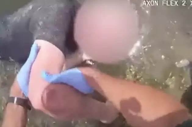 Dramatic Video Shows Police Pulling Elderly Man From a Pond in Florida