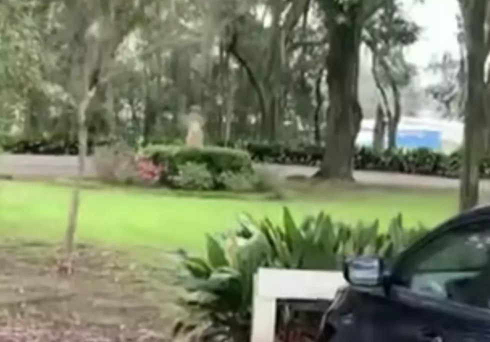 Guest at Myrtles Plantation Thinks They Caught Glimpse of Ghost on Camera [VIDEO]