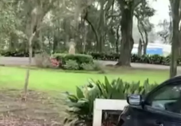 Guest at Myrtles Plantation Thinks They Caught Glimpse of Ghost on Camera [VIDEO]