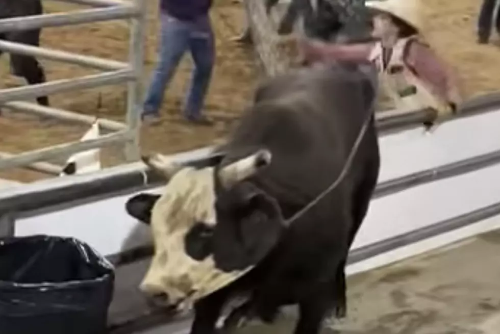 Bull Gets Loose at Rodeo, Threatens Safety of Those in Attendance [VIDEO]