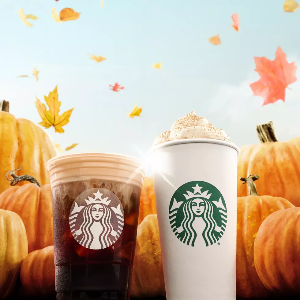 Pumpkin Spice at Scary Price