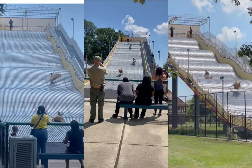 ‘Giant Slide’ Shuts Down Hours After Reopening Due to Speed Concerns, Riders Sent Flying Down Slide