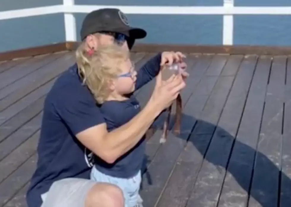 Kid Drops Engagement Ring Into Ocean as Dad Proposes [VIDEO]