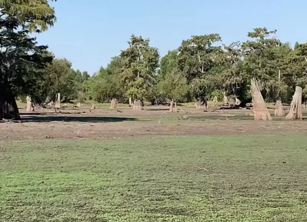 Video Shows Just How Dry The Basin Is 