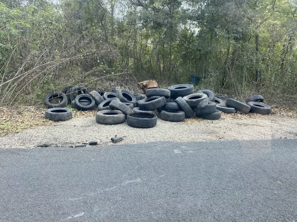 Lafayette Road Becoming Dump Site and Major Eye Sore 