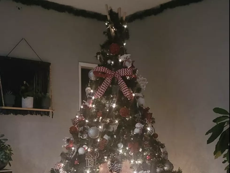 Internet Freaks Out and Now Wants Own ‘Tepee Christmas Tree’ [PHOTO]