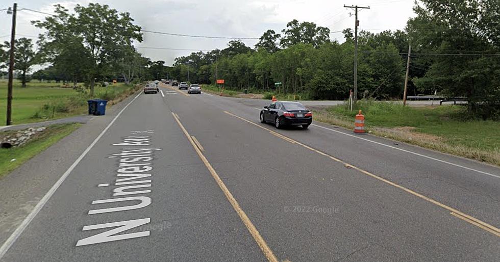 Lafayette Citizens Create Shrine For Roadkill on University Ave [PHOTO]