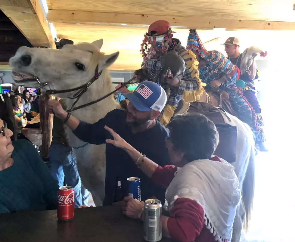 Horses and Chickens Show Up in South Louisiana Bar for Mardi Gras
