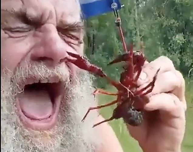 Nipple pinch, A not so alive crayfish threatens to pinch Je…