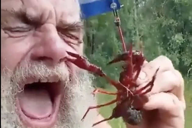 Man Immediately Regrets Letting Crawfish Pinch His Nose [VIDEO]