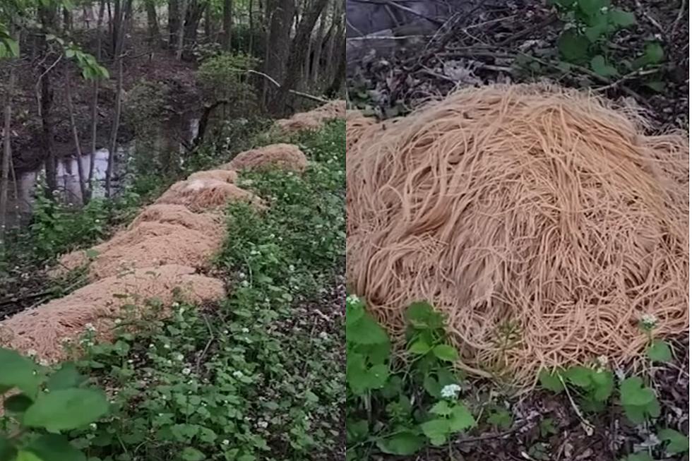 500 Pounds of Pasta Mysteriously Dumped in the Woods