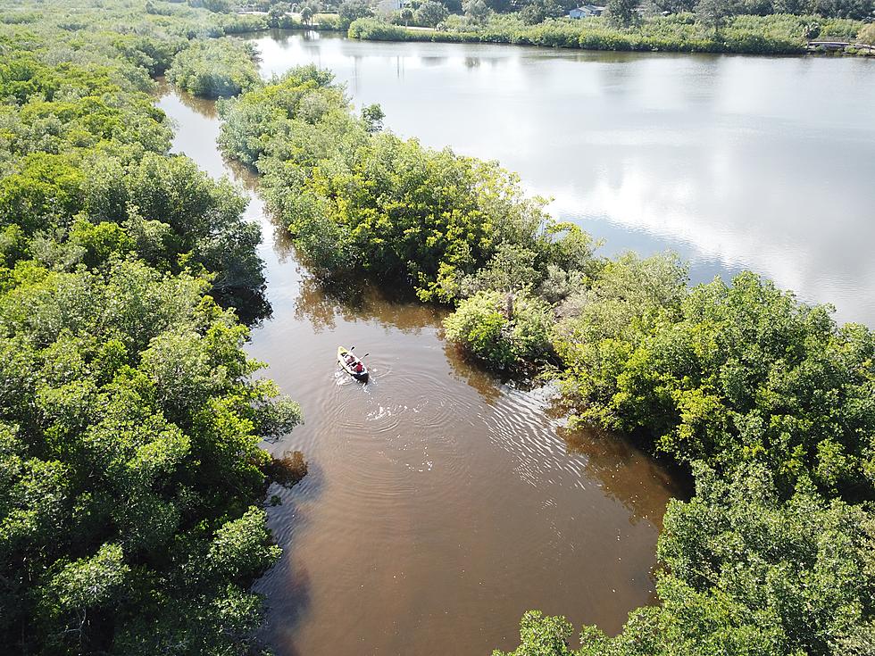 Police: Body, Car Found After it Crashed into Louisiana Bayou