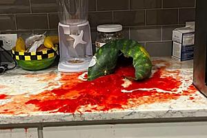 Attention Louisiana Walmart Shoppers: Reports of Exploding Watermelons...