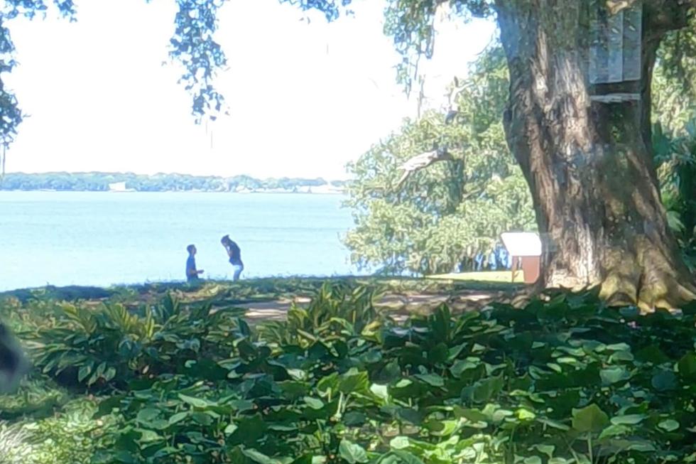 Do You Recognize This Couple Getting Engaged at Rip Van Winkle Gardens in New Iberia?