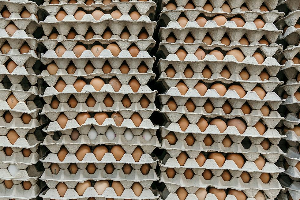 Did Nationwide Egg Price-Fixing Conspiracy Affect Louisiana?