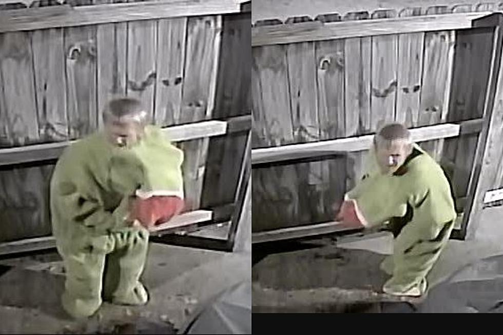 Lafayette Police Seek Public's Help in Identifying 'Grinch' Thief