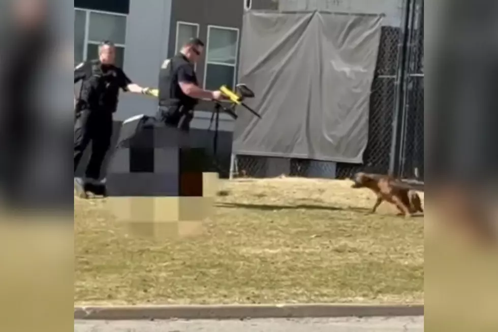 Shocking Video Shows Police Using 'Excessive Force' on Dogs