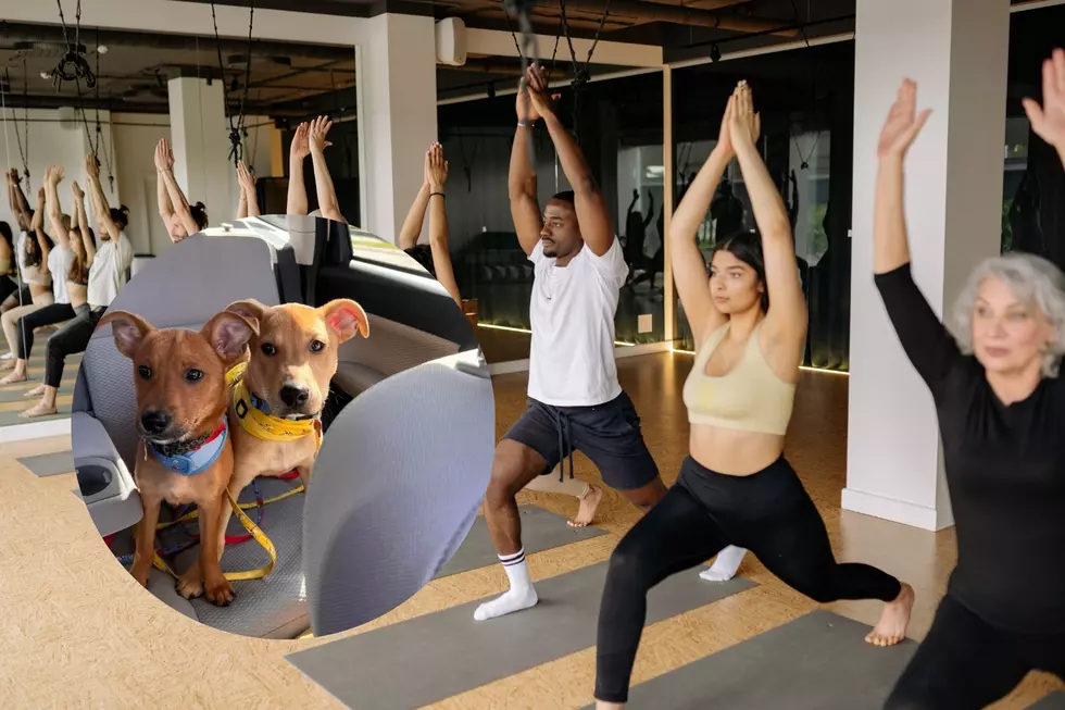 Acadiana Animal Aid and ZenDog are Putting on ‘Puppy Yoga’ Event