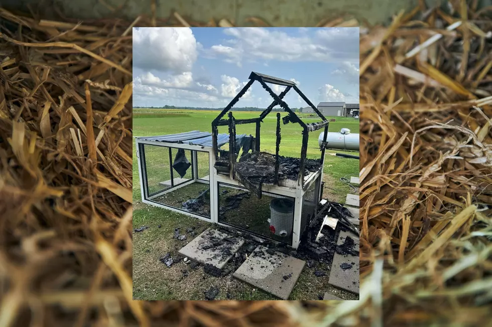 Louisiana Family Searching For Good Samaritan Who Put Out Chicken Coop Fire