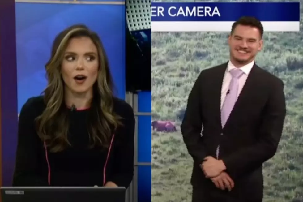 Horses on NSFW Live Cam Leads to Blooper on Lafayette's News 15