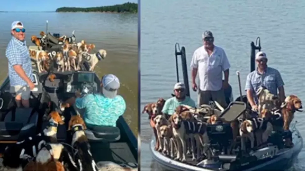 Fishermen in Mississippi Heroically Save 38 Dogs from Drowning in Lake