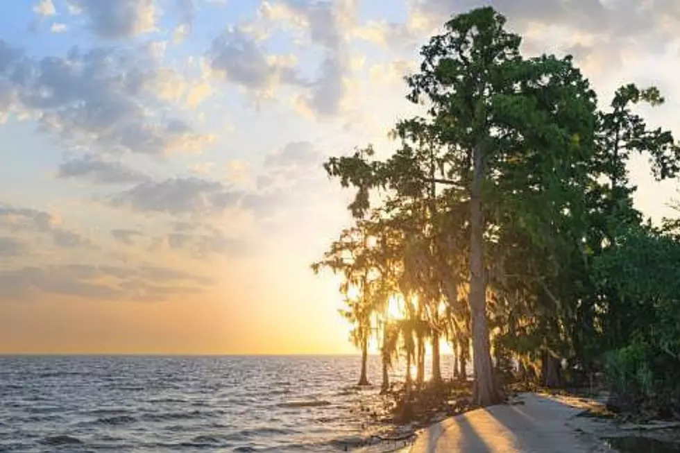 Louisiana Beach Showcases Stunning White Sands and Breathtaking Scenery