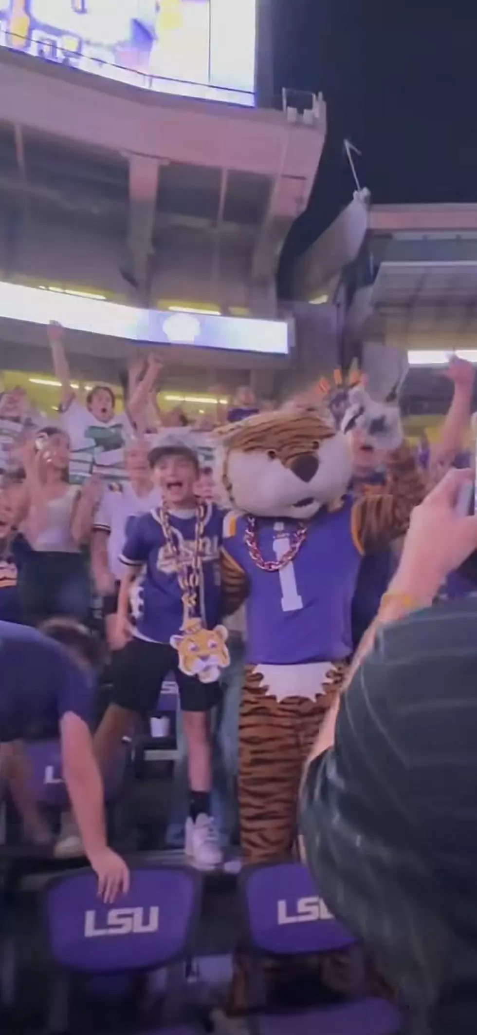 Kids Mike The TIger LSU tower pizza box