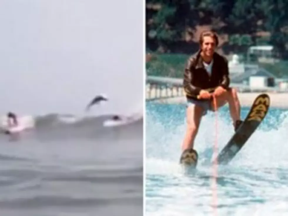 Shark Jumps Over Surfer in Bizarro &#8216;Happy Days&#8217; Moment [VIDEO]
