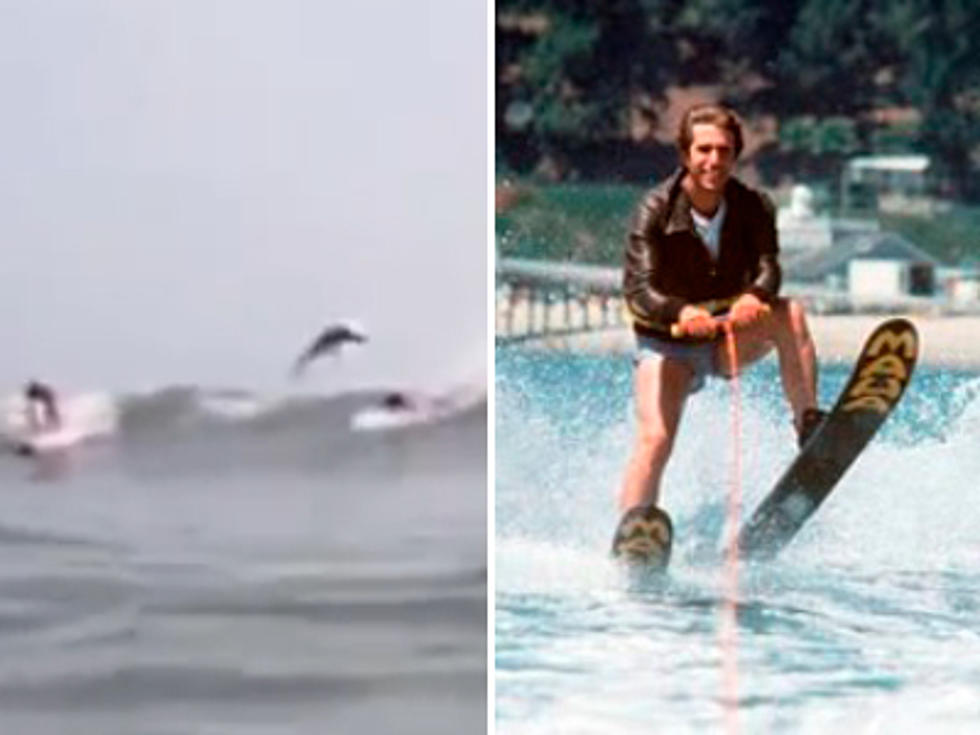 Shark Jumps Over Surfer in Bizarro ‘Happy Days’ Moment [VIDEO]