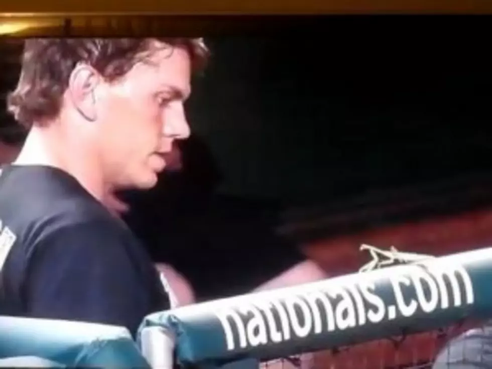 Florida Marlin Logan Morrison Flips Out Over Bug [VIDEO]