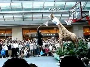 dwight howard 12 foot dunk
