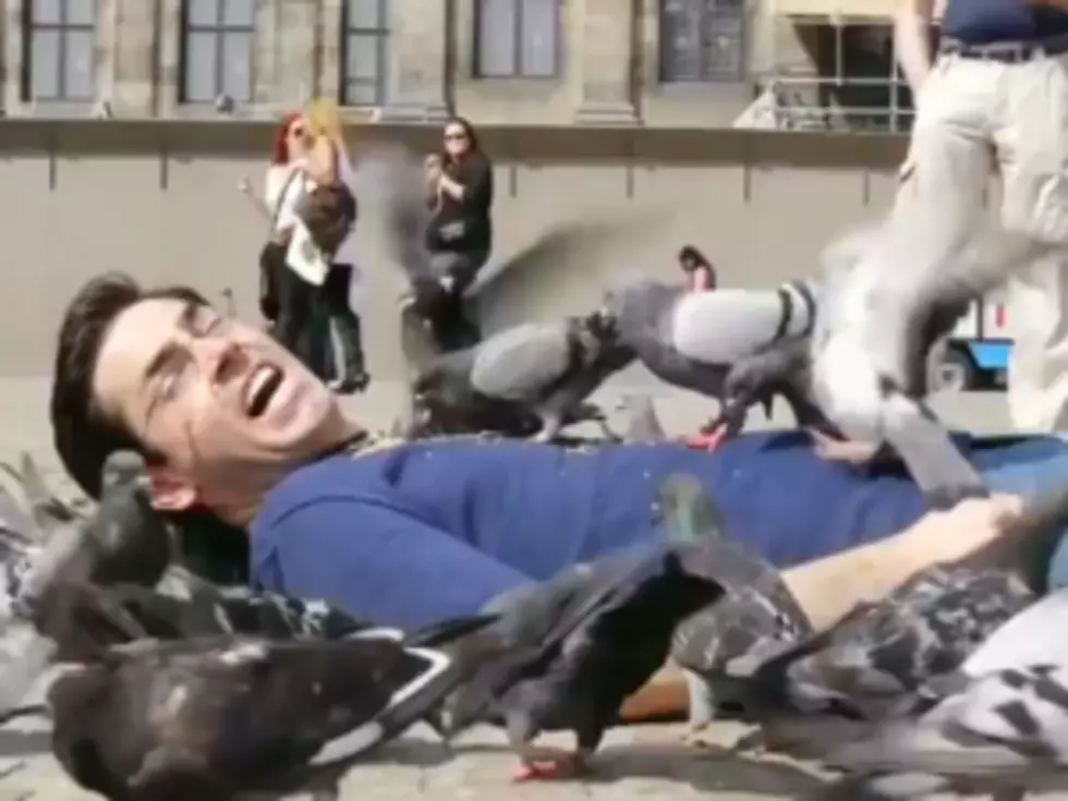 Comedian Covers Himself in Bird Seed, Lets Pigeons Feed Off His Body [VIDEO]