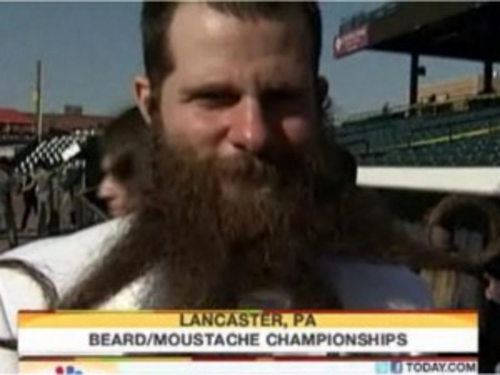 Hairy Men Compete in National Beard and Moustache Championships [VIDEO]