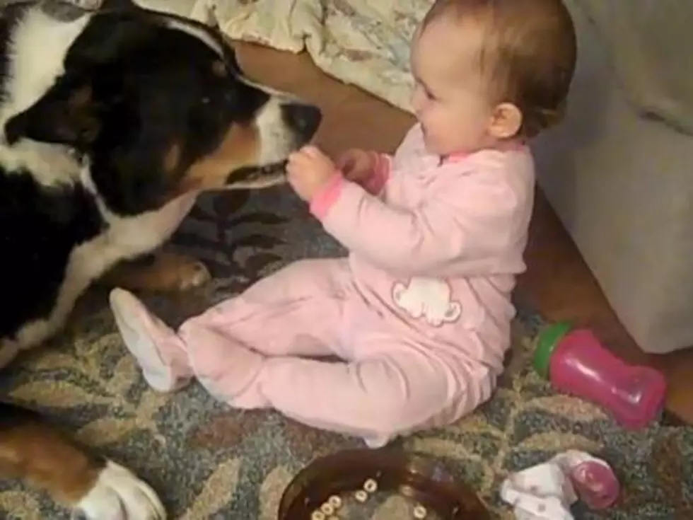 Giggling Baby Shares Cheerios With Family Dog
