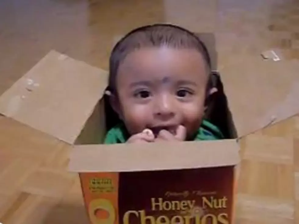 Baby Hangs Out in Cheerios Box, Munches on Cheerios [VIDEO]