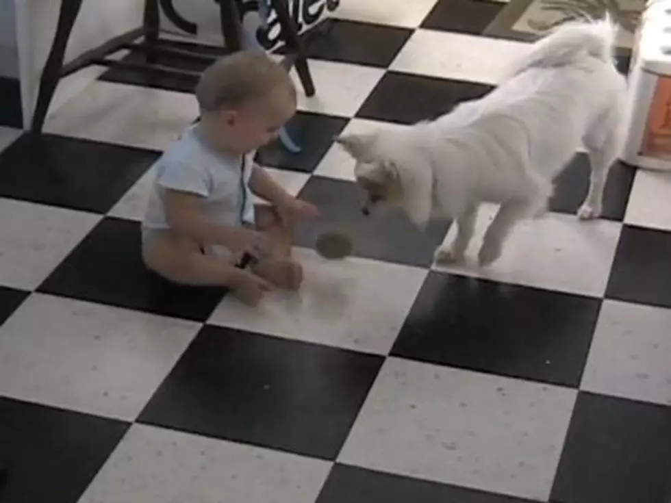 Baby and Dog Entertain Themselves with a Game of Fetch [VIDEO]