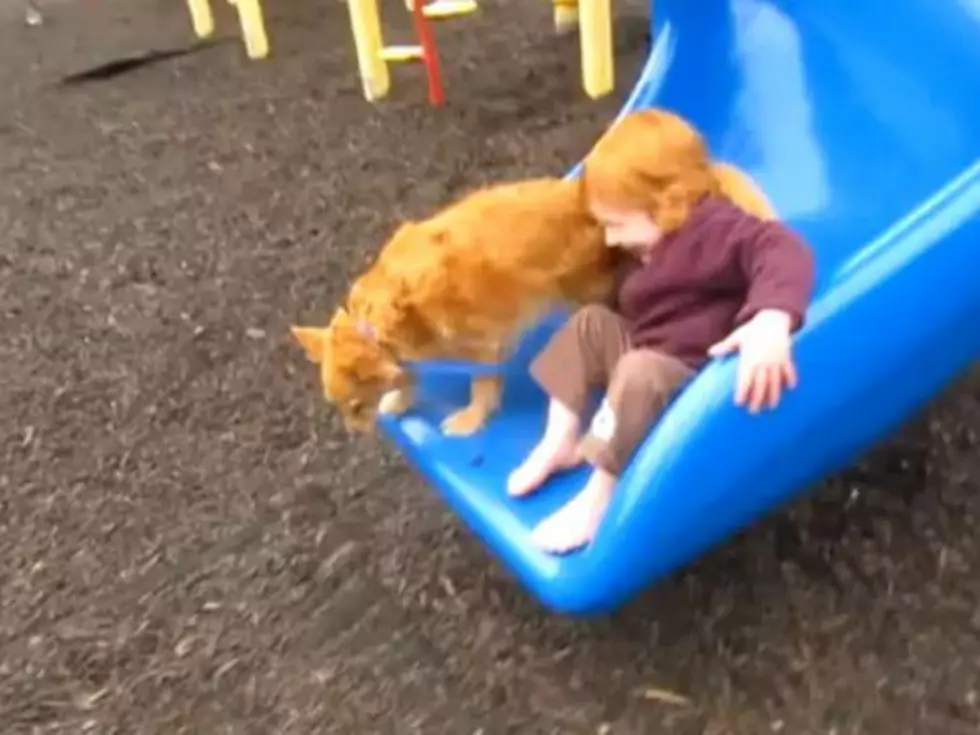 Red Head Drags Dog Down Slide Against Its Will [VIDEO]