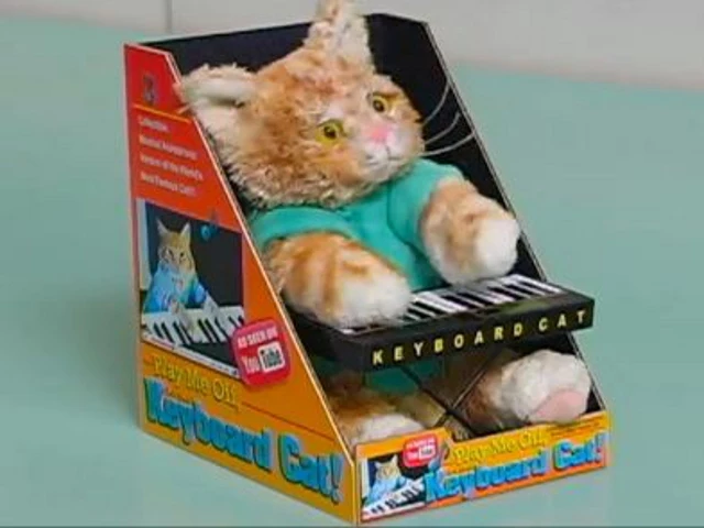keyboard cat plush