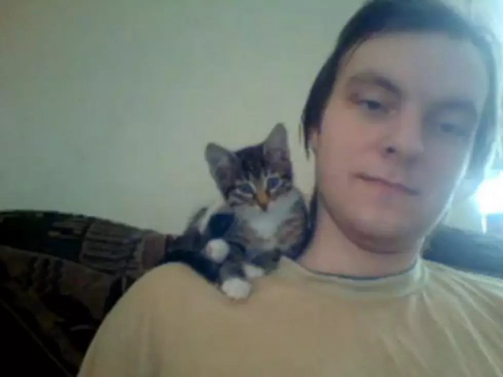 Kitten Munches on Man&#8217;s Face [VIDEO]
