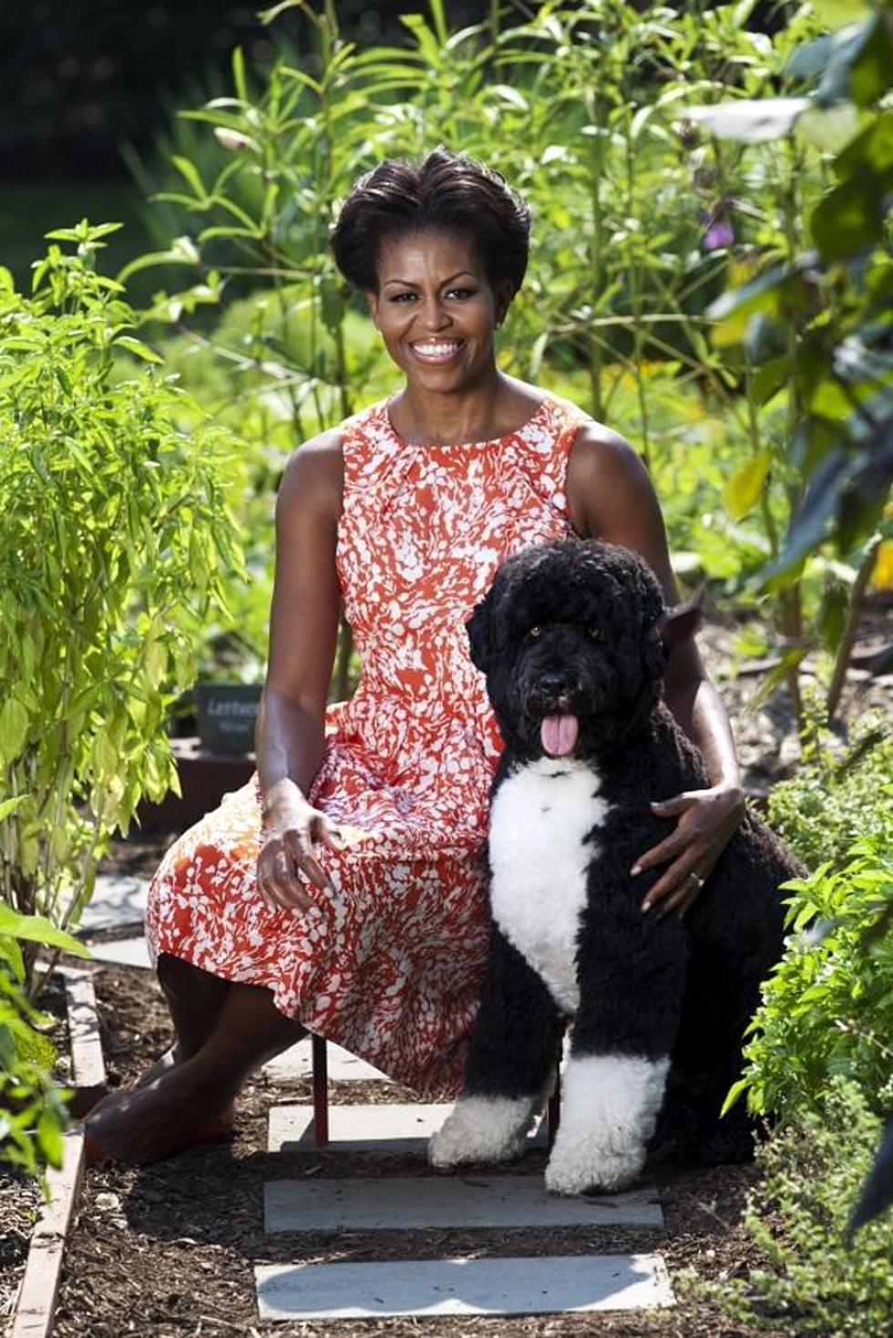 First Dog Bo Steals the Spotlight In Photo With Michelle Obama [PHOTO]