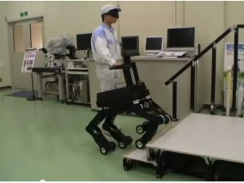 Robo Dog Guides the Blind [VIDEO]