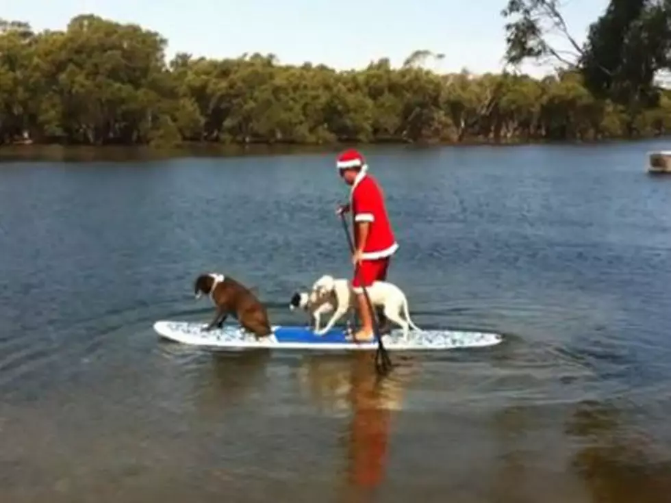 This Is What Santa Does With His Dogs on Vacation